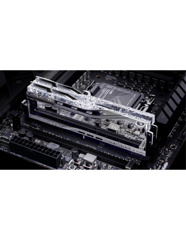 Ddr5 48Gb Pc 8000 Cl40 G.skill Kit (2X24Gb) Tr5S Rgb Royal