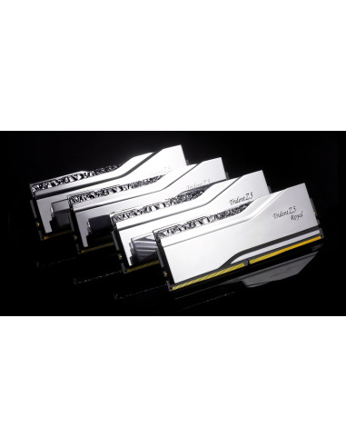 Ddr5 48Gb Pc 8000 Cl40 G.skill Kit (2X24Gb) Tr5S Rgb Royal