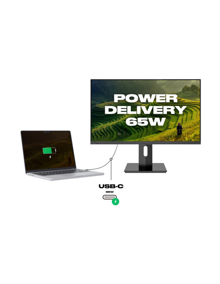 Monitor Japannext 60,5 Cm Jn-Ips2380Uhdr-C65W-Hsp 16:9 Hdmi/Dp Uhd