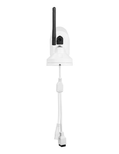 Abus Ppic54520 Kamera Przemysłowa Kopułowa Kamera Bezpieczeństwa Ip Zewnętrzna 3840 X 2160 Px Ściana