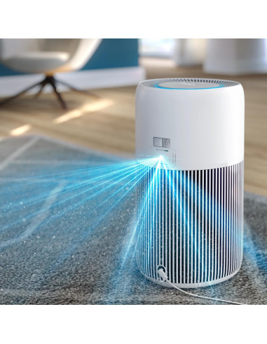 Oczyszczacz Powietrza Philips Ac 2220/10