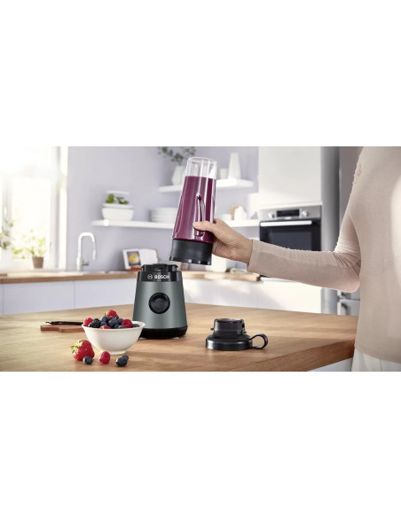 Blender Kielichowy Bosch Vitapower Serie 2 Mmb2111S 0,6L | 450W | Srebrny
