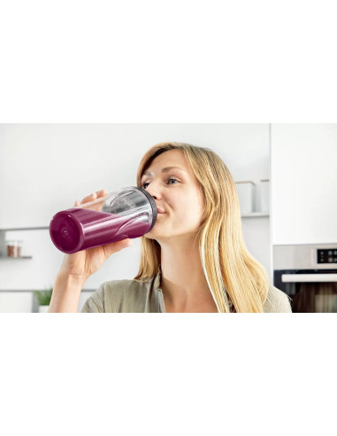 Blender Kielichowy Bosch Vitapower Serie 2 Mmb2111S 0,6L | 450W | Srebrny
