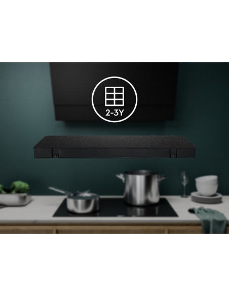 Electrolux Ecfbpl02 Filtr Zapachów