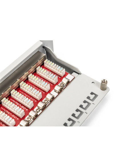 Digitus Panel Krosowy (Patch Panel) 10'' 12X Rj45, Lsa Poziom, Kat.6A, Ekranowany, 1U, Szary, Prowadnica Kabli