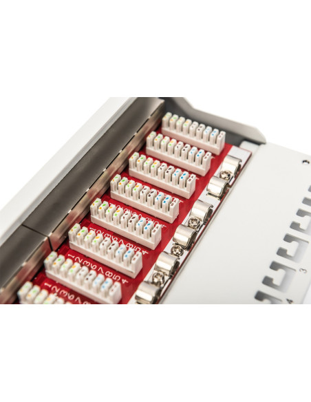 Digitus Panel Krosowy (Patch Panel) 10'' 12X Rj45, Lsa Poziom, Kat.6A, Ekranowany, 1U, Szary, Prowadnica Kabli