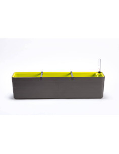 Urbalive Berberis Donica Samonawadniająca Prostokątna 80 X 20 Cm, Szaro-Brązowy