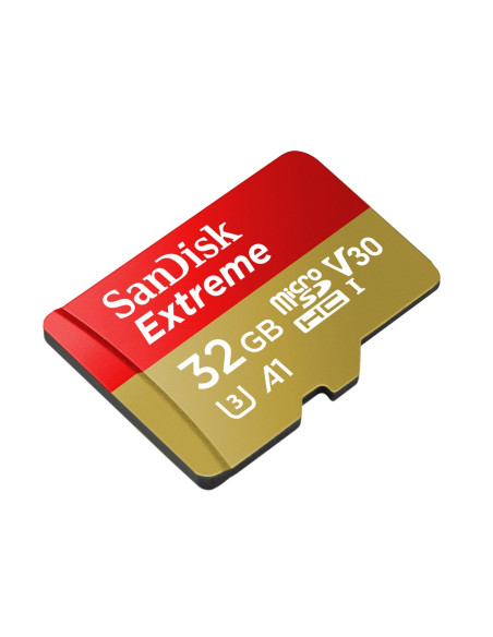 Sandisk Microsdhc Action