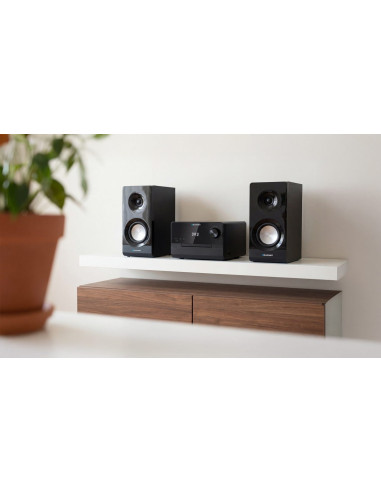 Mikrowieża Blaupunkt Ms49Dab, Czarny