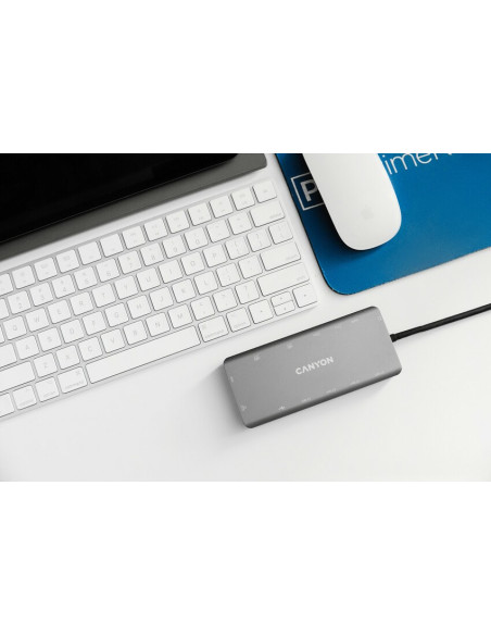 Canyon Ds-12 Usb 3.2 Gen 1 (3.1 Gen 1) Type-C Szary