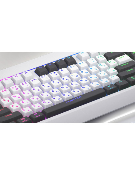 Hator Icefall Klawiatura Gaming Usb Qwerty Us English Biały