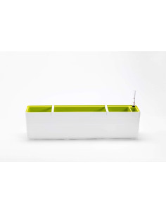 Urbalive Berberis Donica Samonawadniająca Prostokątna 80 X 20 Cm, Biały