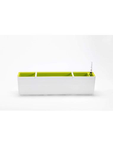Urbalive Berberis Donica Samonawadniająca Prostokątna 80 X 20 Cm, Biały
