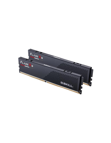 G.skill Flare X5 Amd Ddr5 2X48Gb 5600Mhz Cl40 Expo Black F5-5600J4040D48Gx2-Fx5