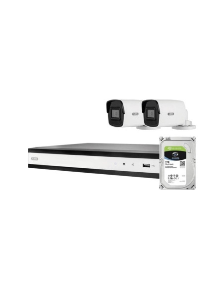 Abus Poe-Video-Set: 2 Mini-Tube-Kameras + Nvr 4Ch.tvvr36402D