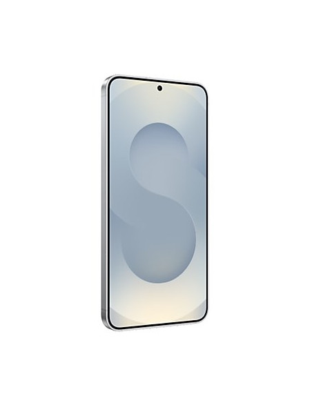 Telefon Komórkowy Galaxy S25 5G 256Gb Srebrny Sm-S931B Samsung