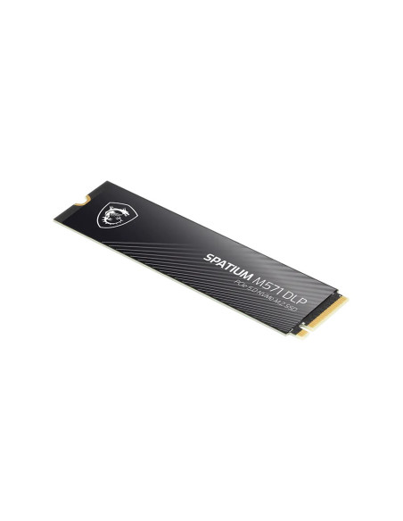 Msi Spatium M571 Dlp Pcie 5.0 Nvme M.2 2Tb Pci Express 5.0 3D Nand
