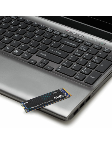 Pny Cs2241 1Tb M.2 Nvme Pci Express 4.0 3D Nand