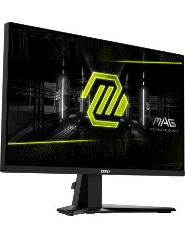 Msi Mag 255F E20 Monitor Komputerowy 62,2 Cm (24.5") 1920 X 1080 Px Full Hd Lcd Czarny