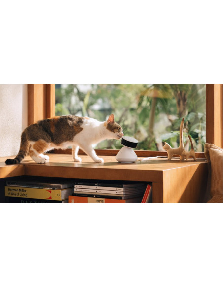 Petlibro Scout Smart Camera Kopułowa Kamera Bezpieczeństwa Ip Wewnętrzna 1920 X 1080 Px Sufit/Ściana/Biurko
