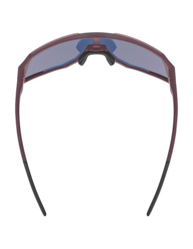 Uvex Sequenze Cv Okulary Do Wielu Sportów Unisex Półobwódkowe Czerwony