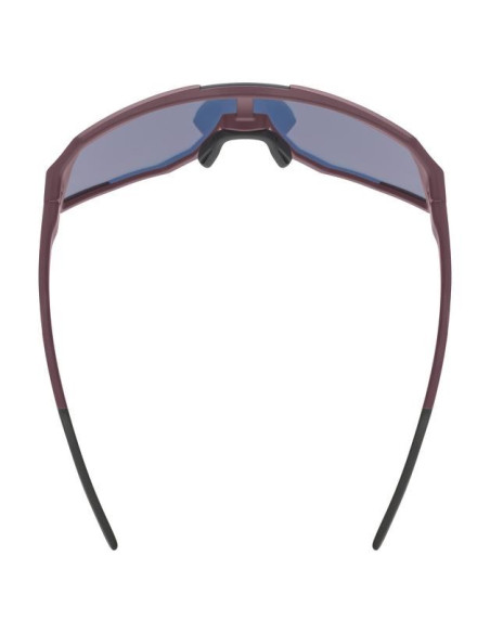 Uvex Sequenze Cv Okulary Do Wielu Sportów Unisex Półobwódkowe Czerwony