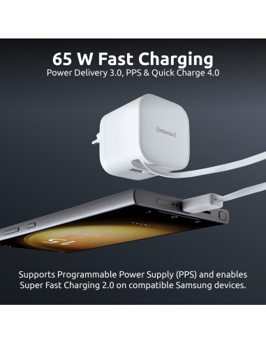 Intenso 7806520 Adapter Zasilający/ Inwentor Wewnętrzna 65 W Czarny