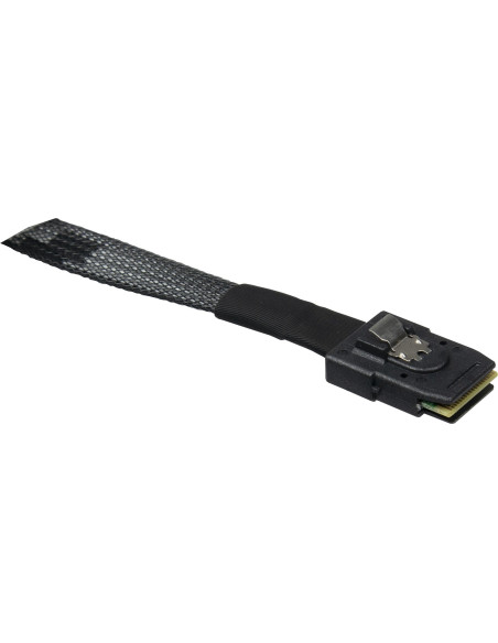 Inter-Tech 88885641 Kabel Sas 0,75 M 24 Gbit/S Czarny