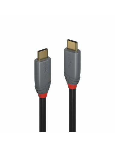 Lindy 36903 Kabel Usb Usb 3.2 Gen 2 (3.1 Gen 2) 2 M Usb C 20 Gbit/S 100 W Czarny