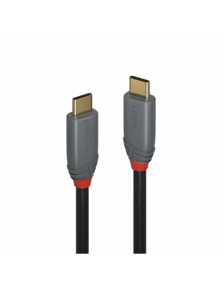 Lindy 36903 Kabel Usb Usb 3.2 Gen 2 (3.1 Gen 2) 2 M Usb C 20 Gbit/S 100 W Czarny