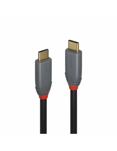Lindy 36903 Kabel Usb Usb 3.2 Gen 2 (3.1 Gen 2) 2 M Usb C 20 Gbit/S 100 W Czarny