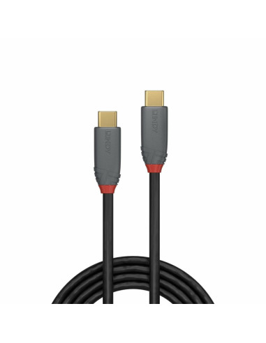 Lindy 36903 Kabel Usb Usb 3.2 Gen 2 (3.1 Gen 2) 2 M Usb C 20 Gbit/S 100 W Czarny