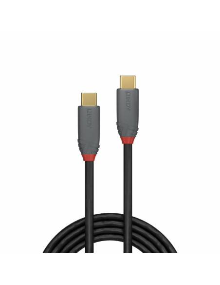 Lindy 36903 Kabel Usb Usb 3.2 Gen 2 (3.1 Gen 2) 2 M Usb C 20 Gbit/S 100 W Czarny