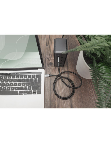 Digitus Kabel Połączeniowy Usb-C 4.0 - Usb-C, 1 M