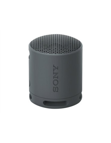 Sony | Głośnik | Głośnik Srs-Xb100 | Wodoodporny | Łączność Bluetooth | | Przenośny | Połączenie Bezprzewodowe