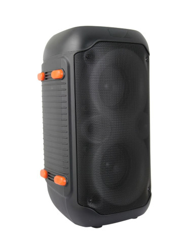 Esperanza Głośnik Bt Fm Led Rgb Karaoke Singer Ep156