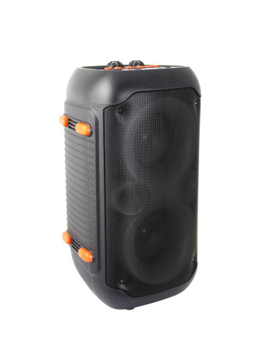 Esperanza Głośnik Bt Fm Led Rgb Karaoke Singer Ep156