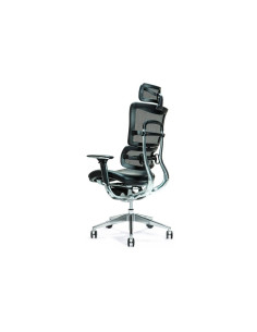 Ergonomiczny Fotel Biurowy Ergo 800 Czarny 2