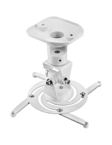 Techly Uchwyt Do Projektora Sufitowy 22Cm 10Kg Bia