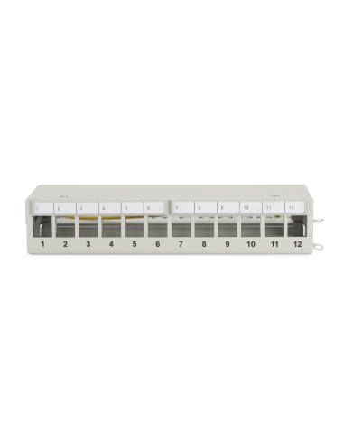 Panel Krosowy Modularny Desktop 12X Keystone, Ekranowany, Szary, Prowadnica Kabli, Pola Opisowe
