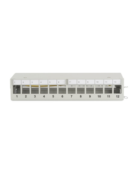 Panel Krosowy Modularny Desktop 12X Keystone, Ekranowany, Szary, Prowadnica Kabli, Pola Opisowe