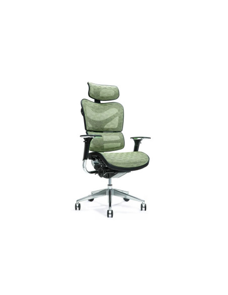 Ergonomiczny Fotel Biurowy Ergo 700 Zielony