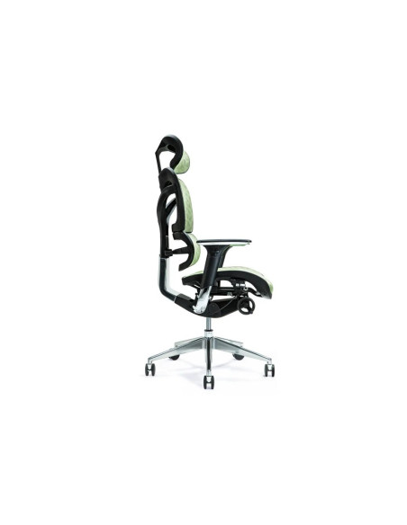 Ergonomiczny Fotel Biurowy Ergo 700 Zielony