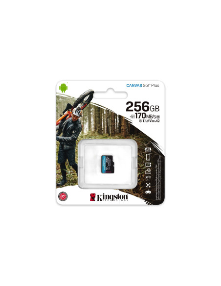 Kingston Microsdxc Canvas Go Plus 256Gb
