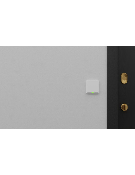 Włącznik Pojedynczy Tesla Tsl-Swi-Wifi1 Smart Switch