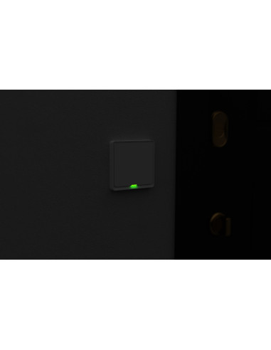 Włącznik Pojedynczy Tesla Tsl-Swi-Wifi1 Smart Switch