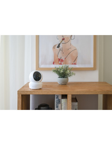 Kamera Ip C6N Fhd Ezviz