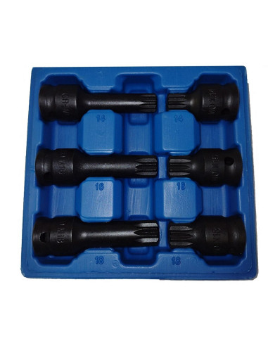 Zestaw Kluczy Spline 6El. M14-M18 /Silver