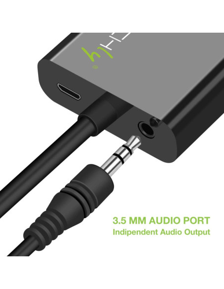 Techly Idata Hdmi-Vga4 Adapter Kablowy Vga (D-Sub) Hdmi Type C (Mini) Czarny