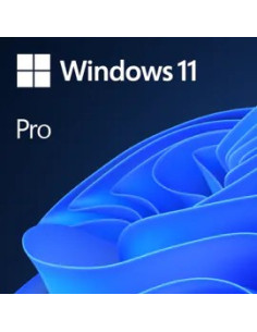 Windows Professional 11 64-Bit All Lang Product Key